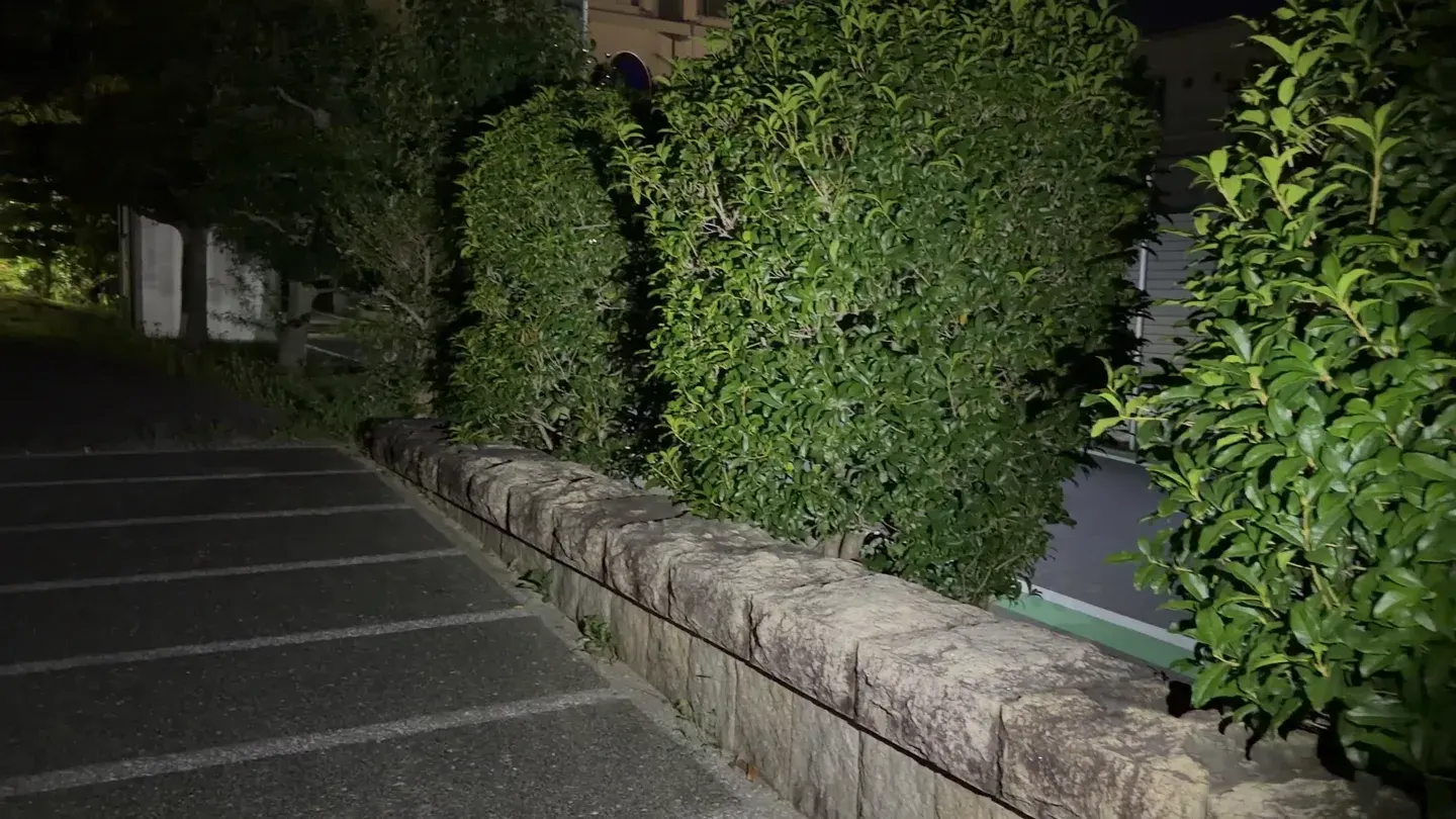 夜の公園でE2のメインライトを点灯して照らした様子